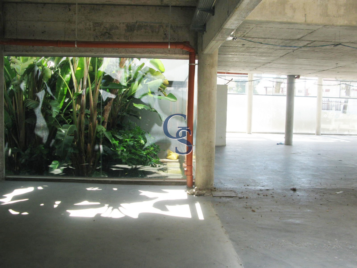 Local Comercial ID.296719 - en la tracional calle de las palmeras