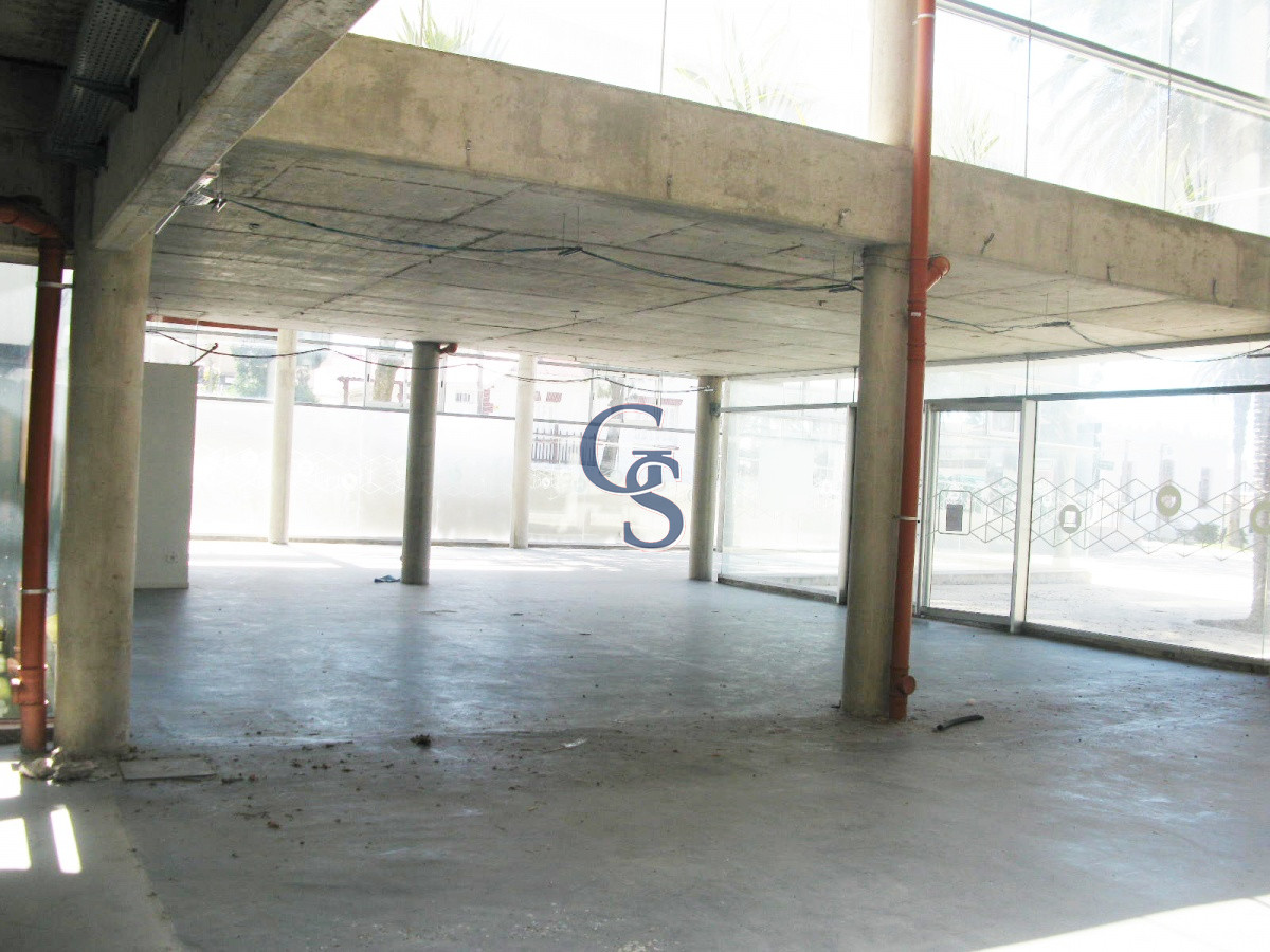 Local Comercial ID.296719 - en la tracional calle de las palmeras