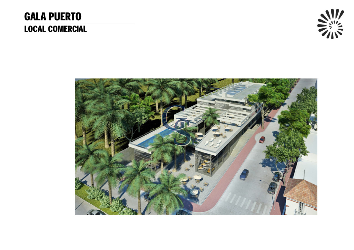Local Comercial ID.296719 - en la tracional calle de las palmeras