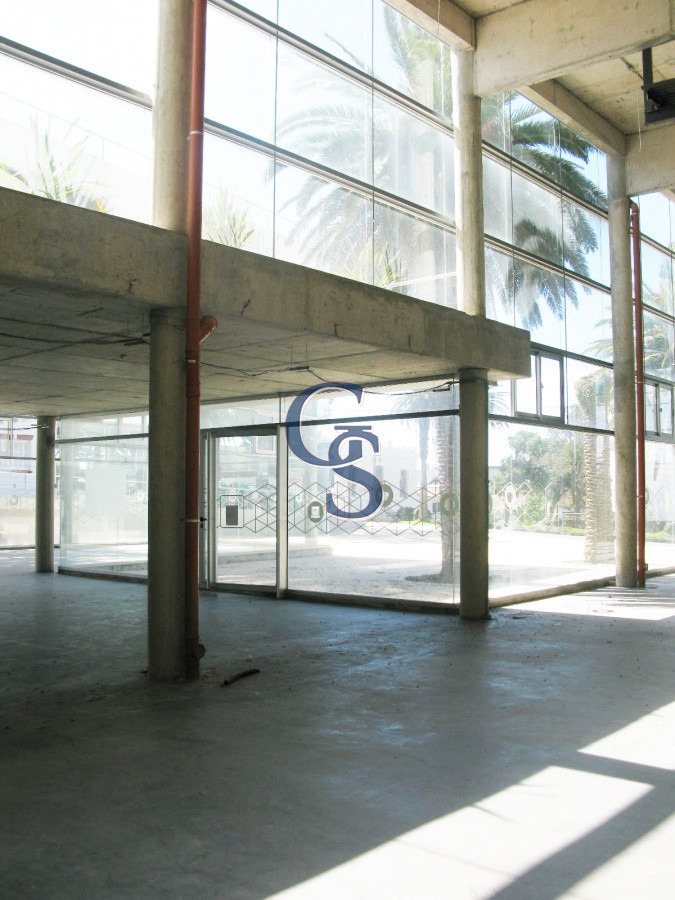 Local Comercial ID.296719 - en la tracional calle de las palmeras