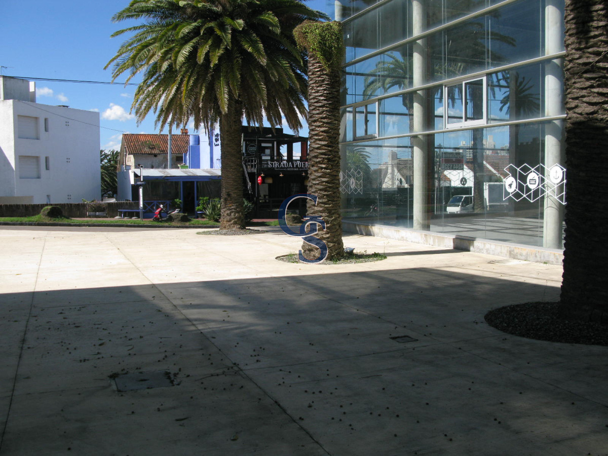 Local Comercial ID.296719 - en la tracional calle de las palmeras