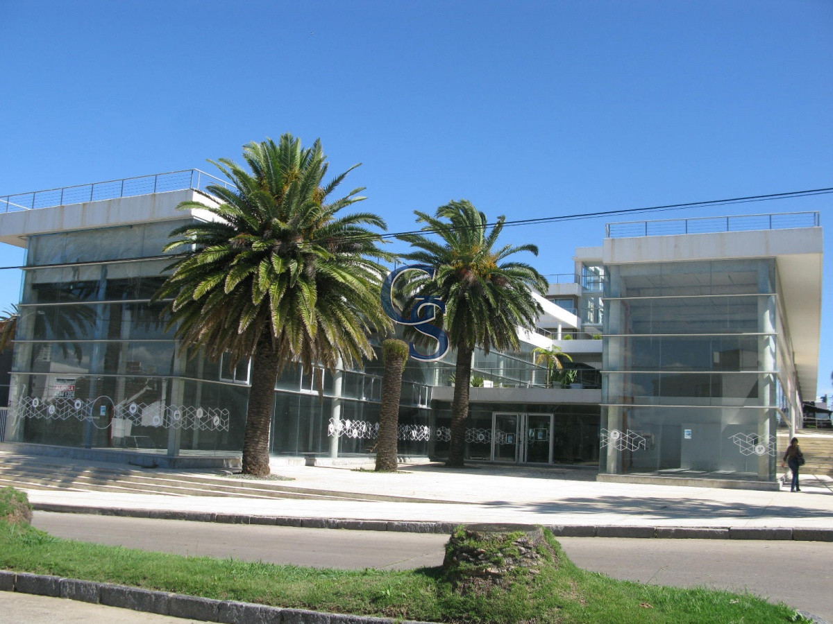 Local Comercial ID.296719 - en la tracional calle de las palmeras