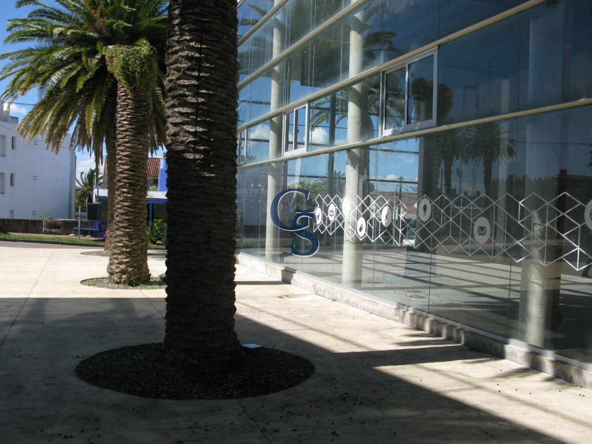 Local Comercial ID.296719 - en la tracional calle de las palmeras
