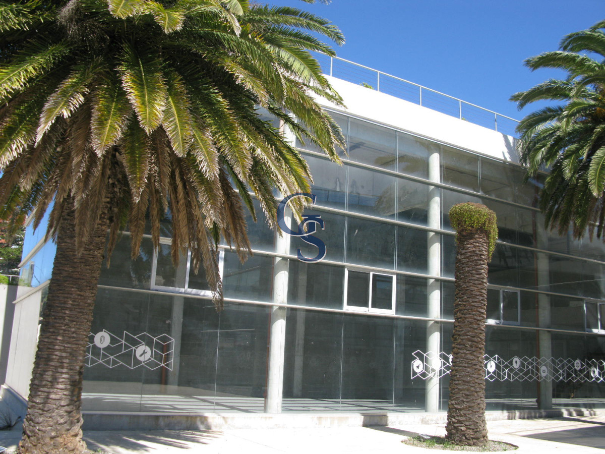 Local Comercial ID.296719 - en la tracional calle de las palmeras