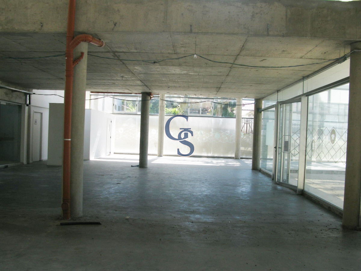 Local Comercial ID.296719 - en la tracional calle de las palmeras