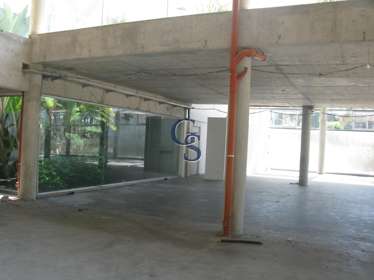 Local Comercial ID.296719 - en la tracional calle de las palmeras