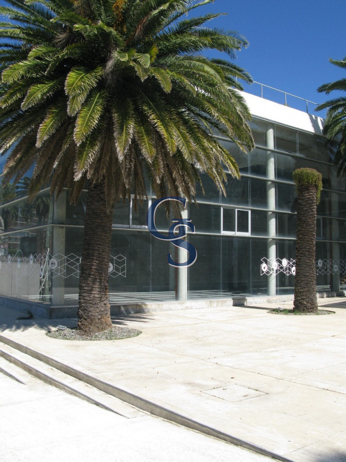 Local Comercial ID.296719 - en la tracional calle de las palmeras