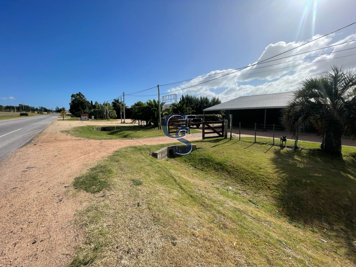 Local Comercial ID.299830 - ruta 39 