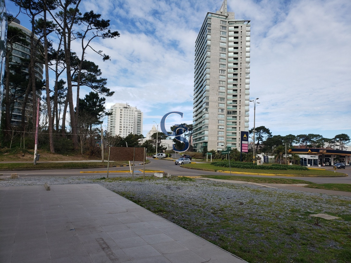 Local Comercial ID.296764 - En la zona de mayor auge comercial 