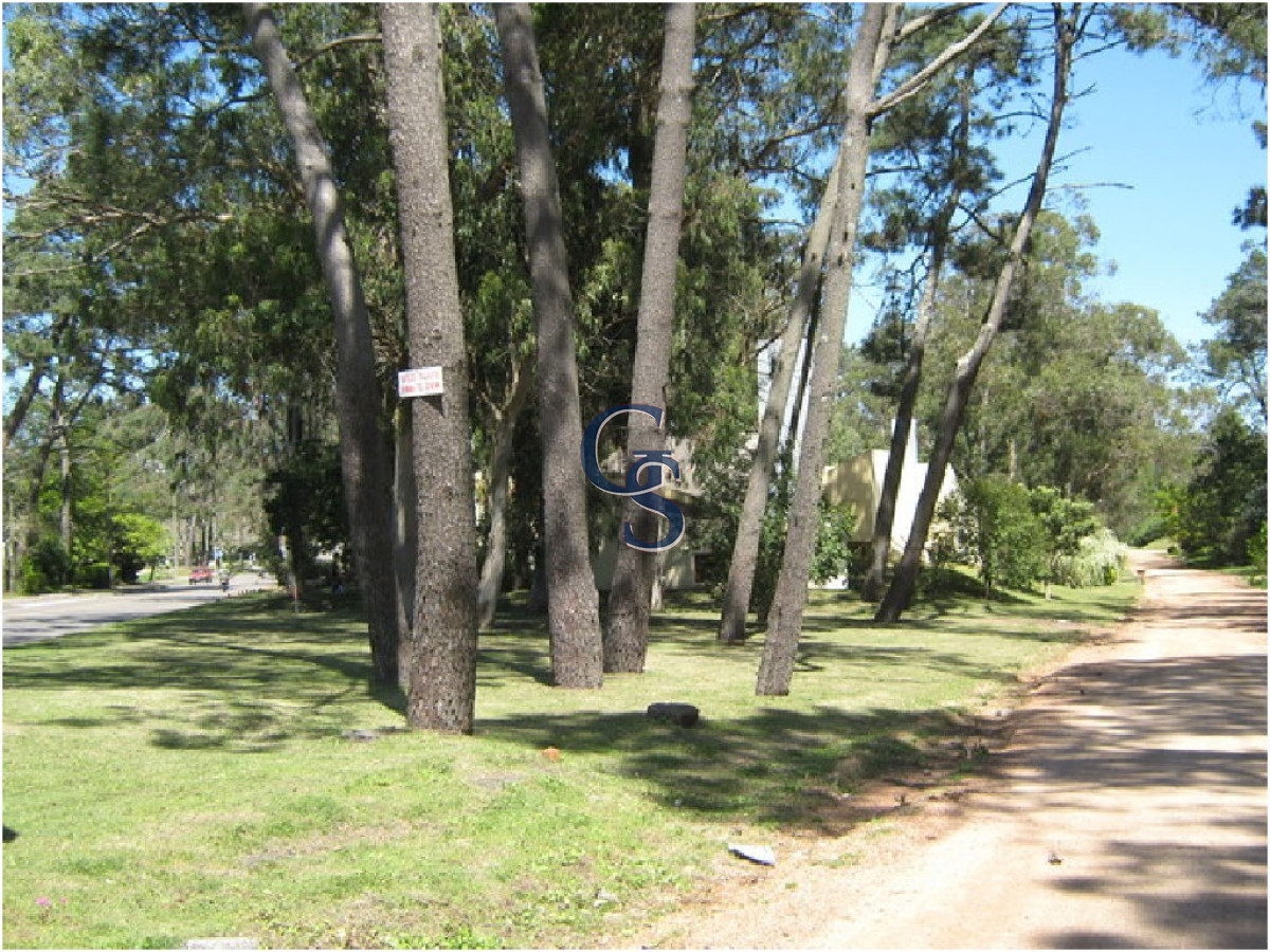 Local Comercial ID.296665 - Local en Punta del Este, San Rafael