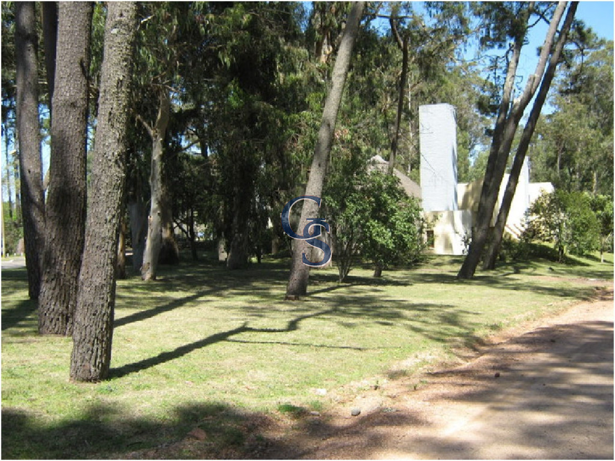 Local Comercial ID.296665 - Local en Punta del Este, San Rafael