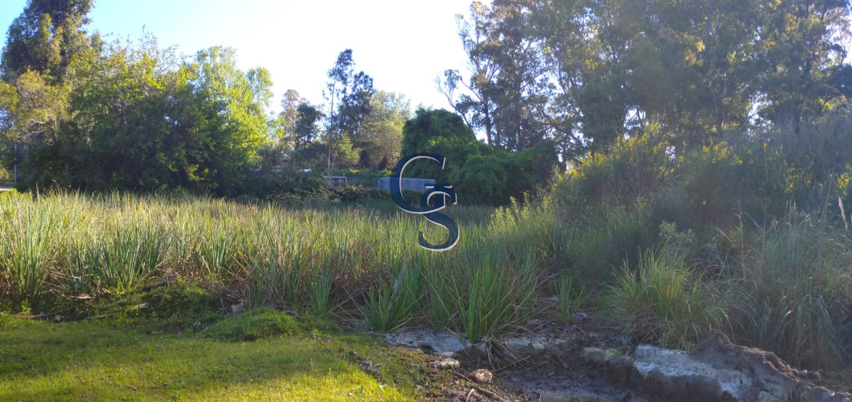 Terreno ID.298924 - zona en pleno  desarrollo 