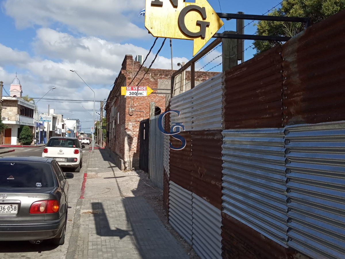 Terreno ID.299086 - A pasos del centro de Maldonado