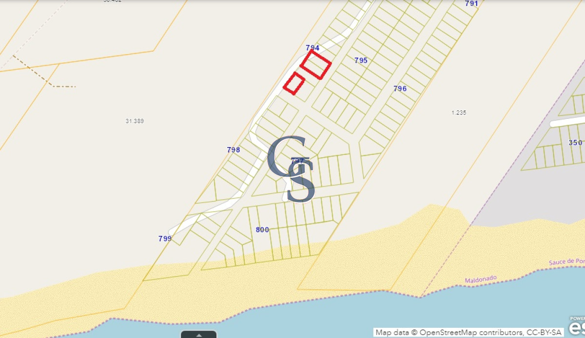 Terreno ID.298019 - Terreno en Sause de Portezuelo