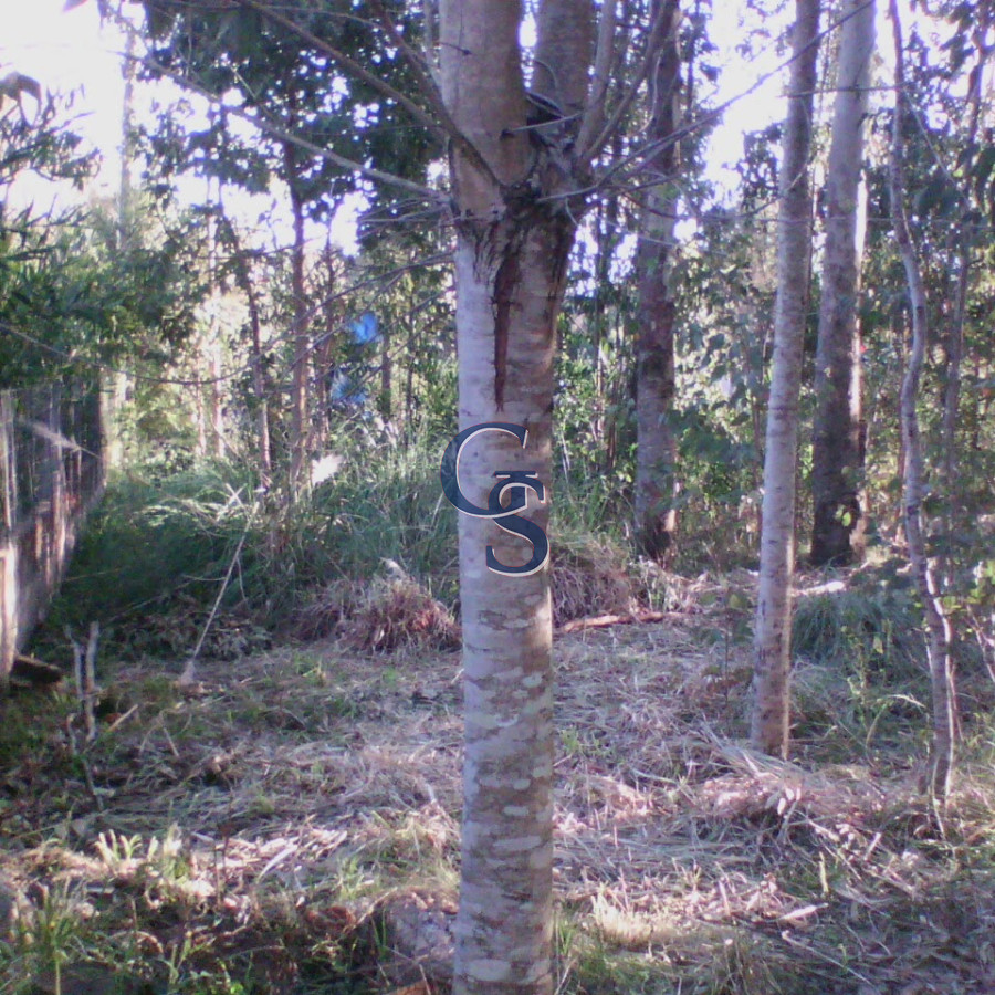 Terreno ID.297538 - Zona en desarrollo.