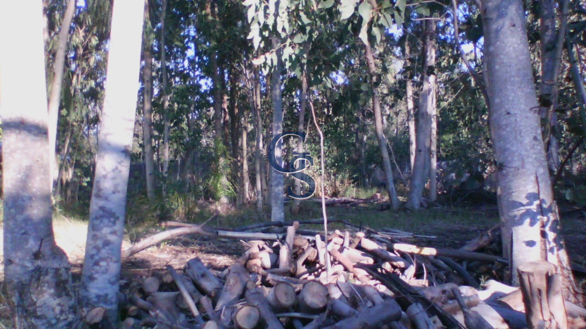 Terreno ID.297538 - Zona en desarrollo.