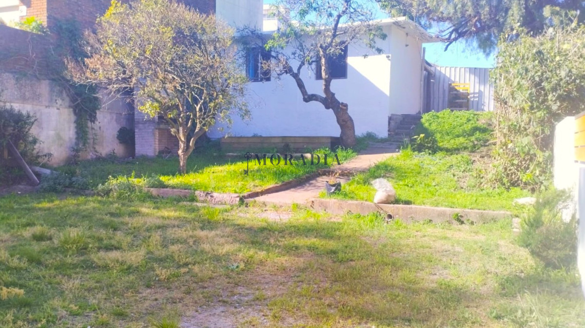 Casa ID.21 - ALQUILER ANUAL Casa 2 Dormitorios Roosevelt Pda 12