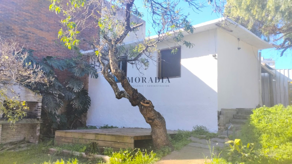 Casa ID.21 - ALQUILER ANUAL Casa 2 Dormitorios Roosevelt Pda 12