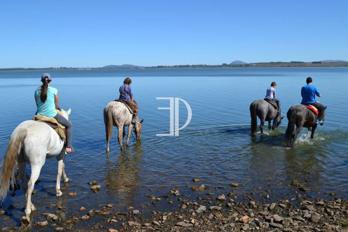 Chacra ID.1644 - Chacra en Laguna del Sauce 
