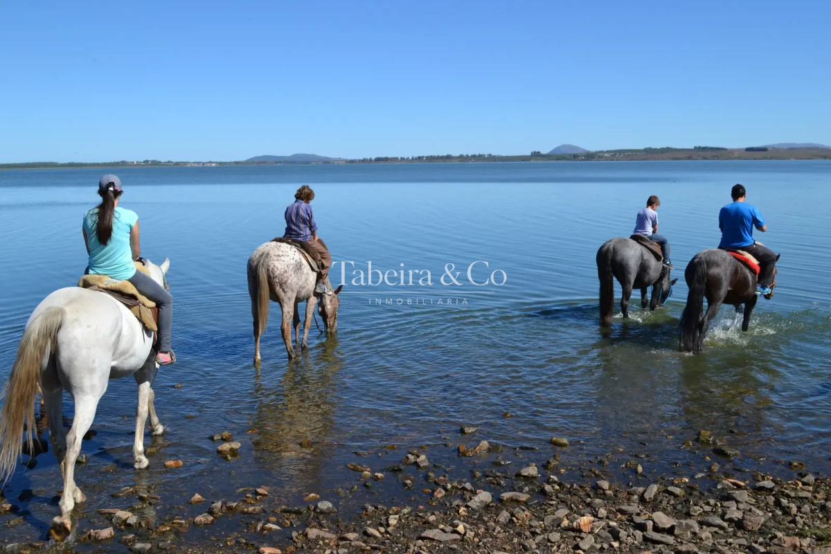 Chacra ID.151 - Chacra en Laguna del Sauce 