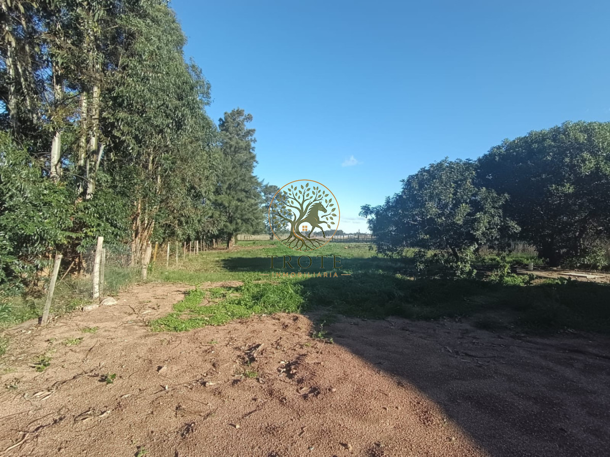 Chacra ID.40 - Se alquila Chacra con casa a estrenar