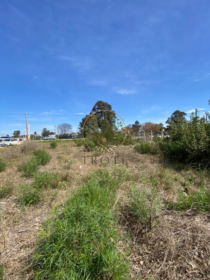 Terreno ID.64 - OPORTUNIDAD VENTA DE TERRENO SOBRE LA RUTA 87