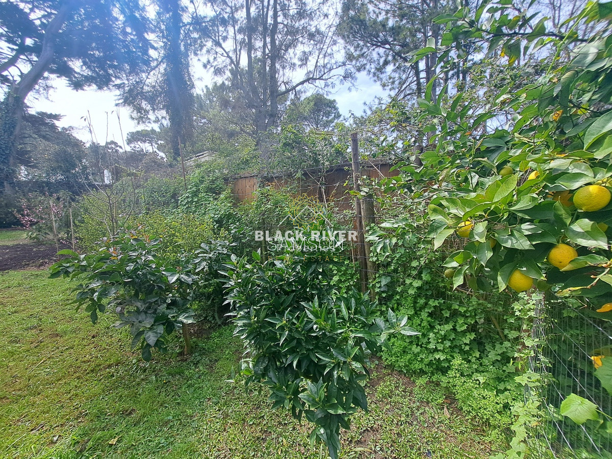 Casa ID.66788 - Casa con piscina en alquiler  4 dormitorios Playa Mansa - Punta del Este