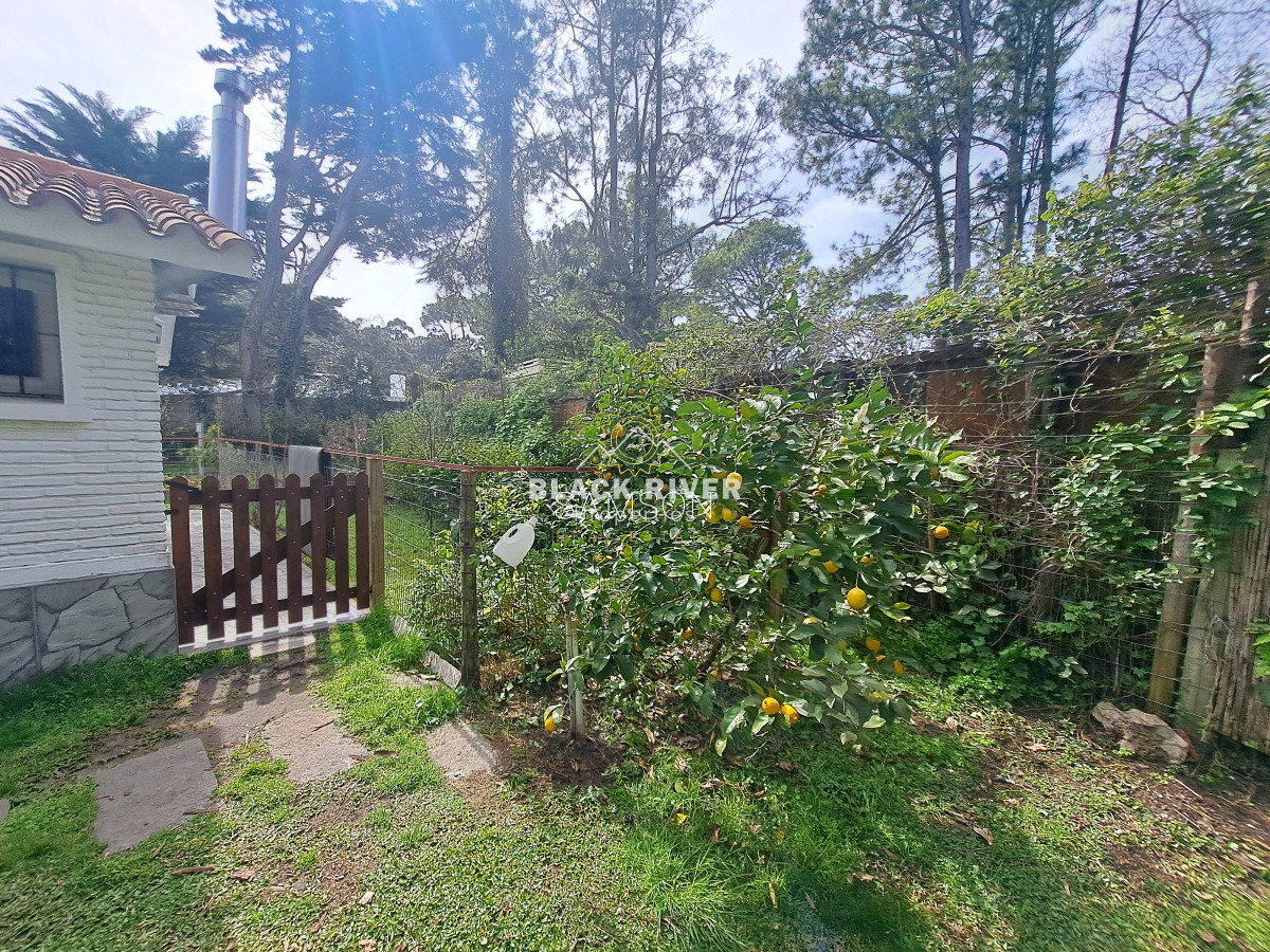Casa ID.66788 - Casa con piscina en alquiler  4 dormitorios Playa Mansa - Punta del Este