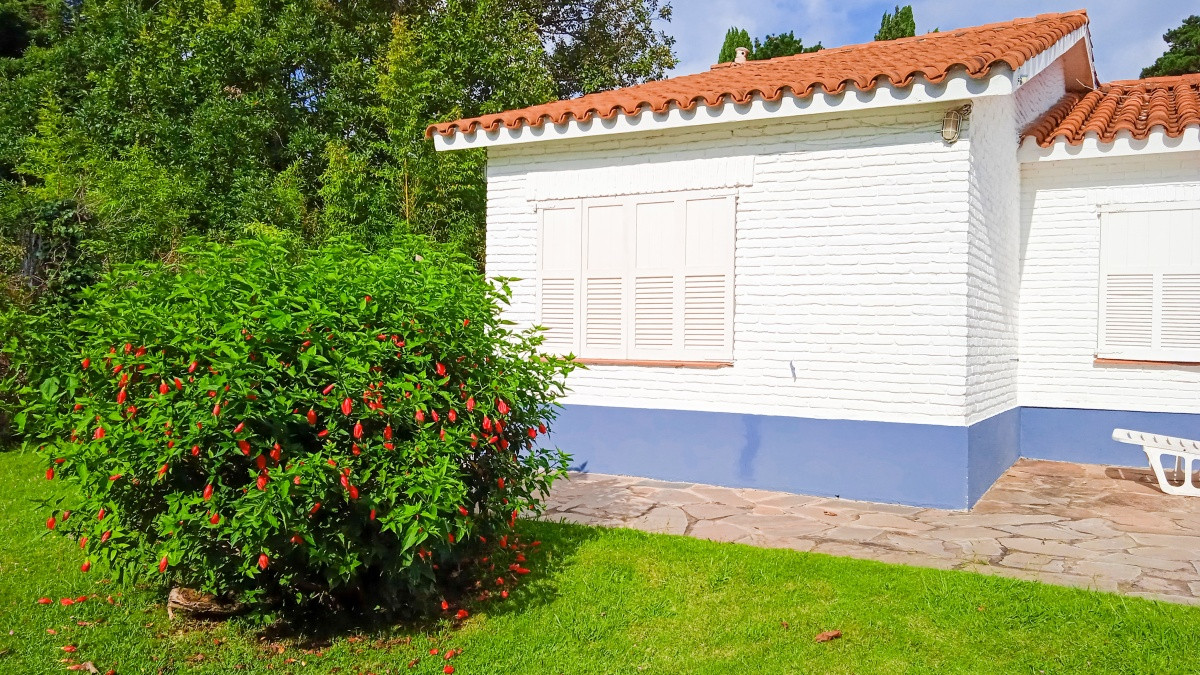 Casa ID.58573 - Casa en venta en Golf, Punta del Este