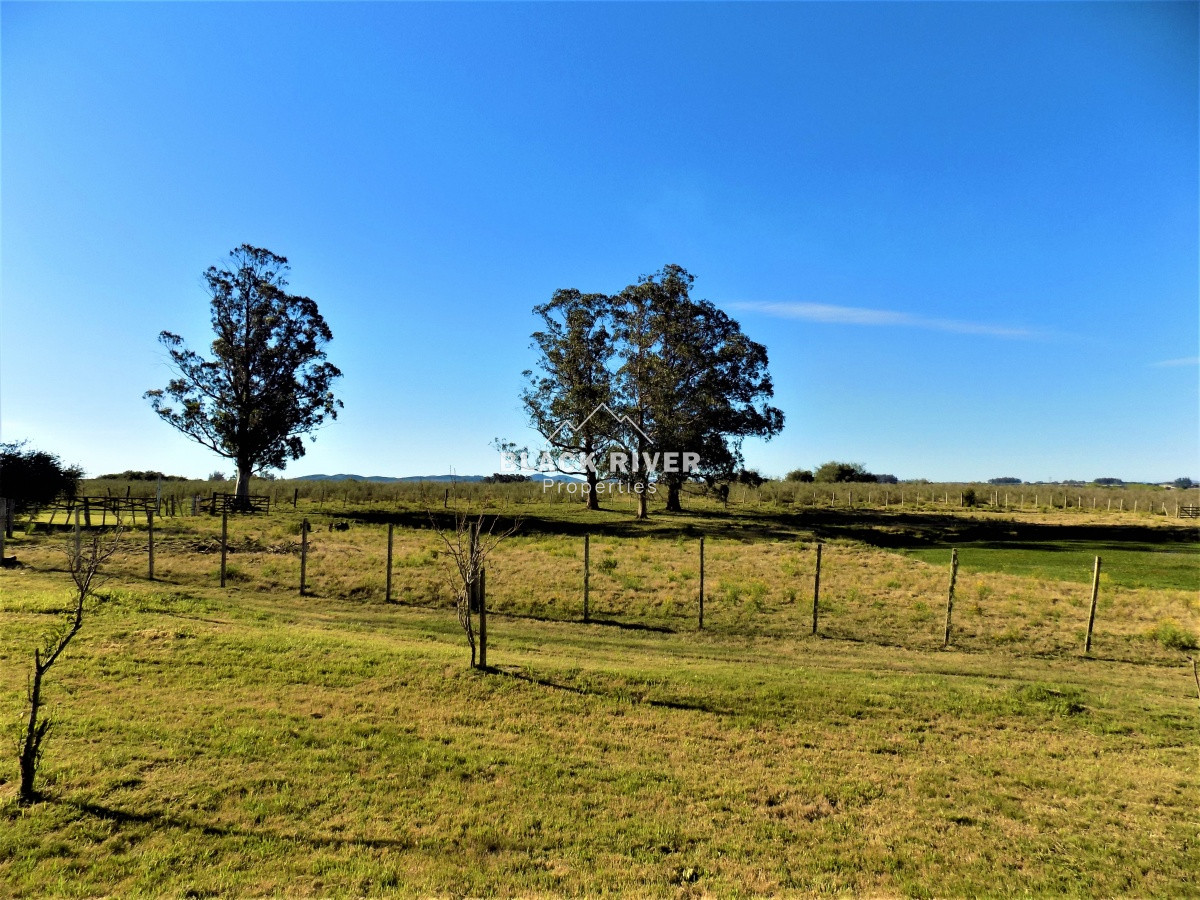 Chacra ID.109 - Chacra con costa sobre arroyo Maldonado en venta