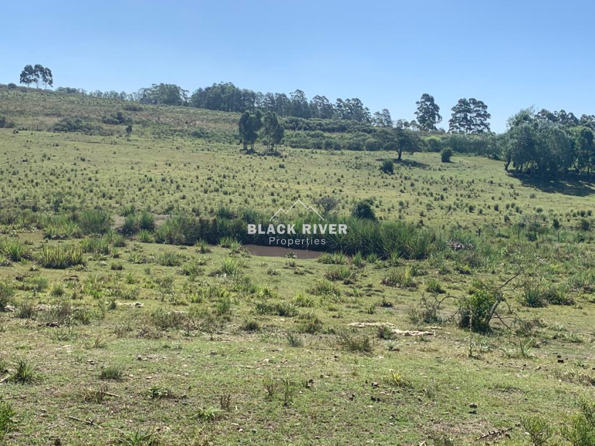 Chacra ID.63911 - VENTA CHACRA DE 5 HECTÁREAS 