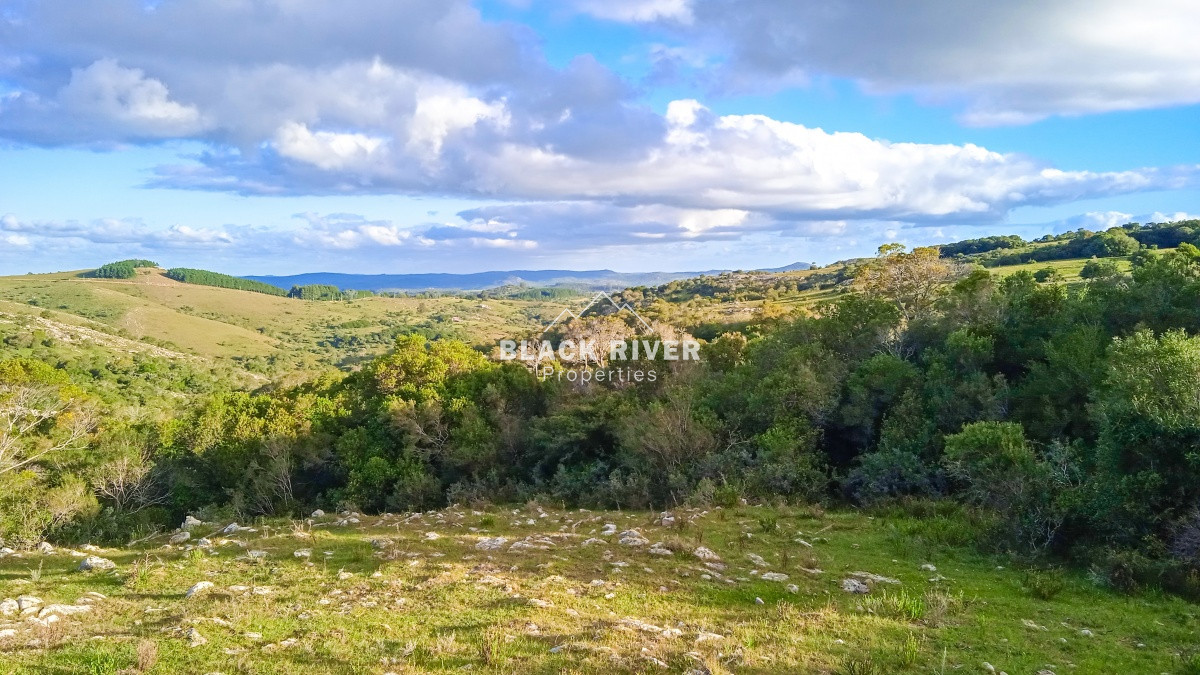 Chacra ID.63931 - Oportunidad Venta de chacras en Ruta 12