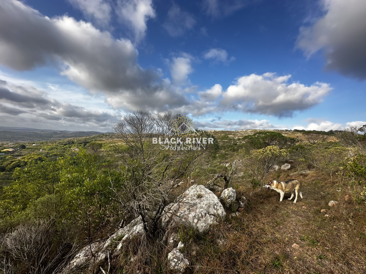 Chacra ID.66965 - Chacra de 5 hectareas con Piscina climatizada y vistas en venta - Las cañas 