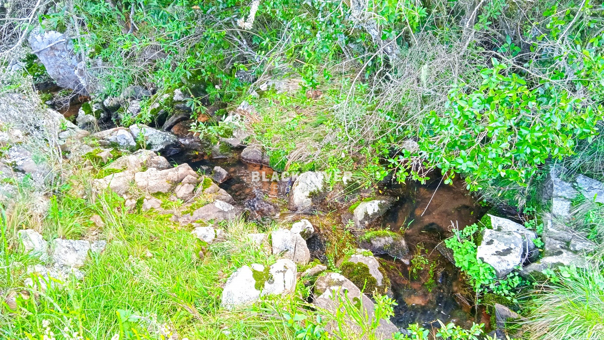 Chacra ID.63931 - Oportunidad Venta de chacras en Ruta 12