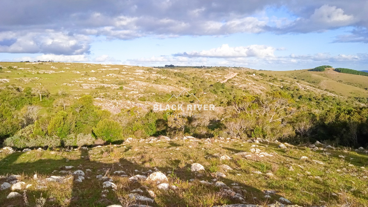 Chacra ID.63931 - Oportunidad Venta de chacras en Ruta 12
