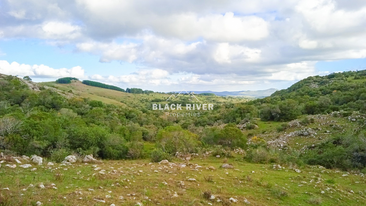 Chacra ID.63931 - Oportunidad Venta de chacras en Ruta 12
