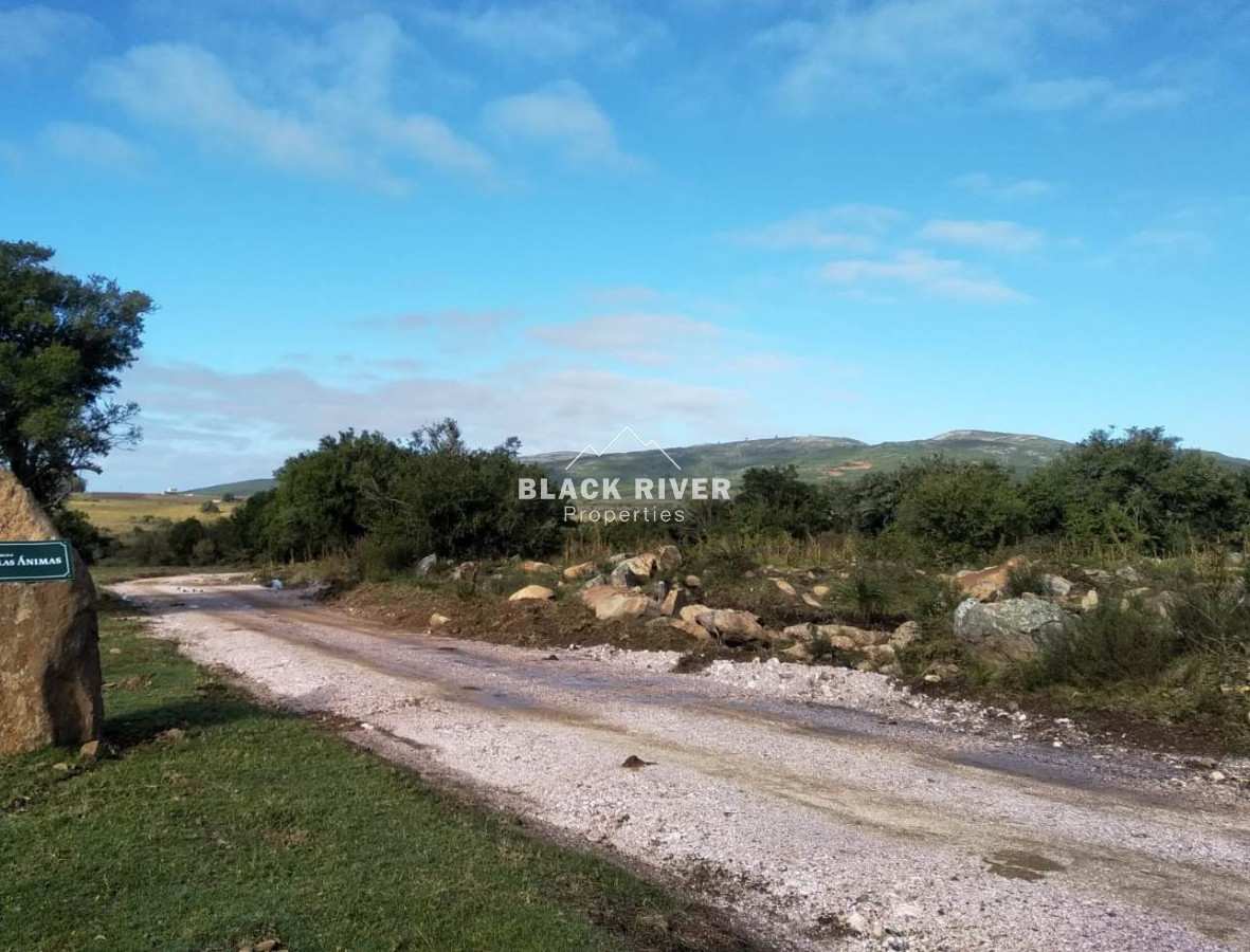Chacra ID.65162 - Chacras en las Ánimas