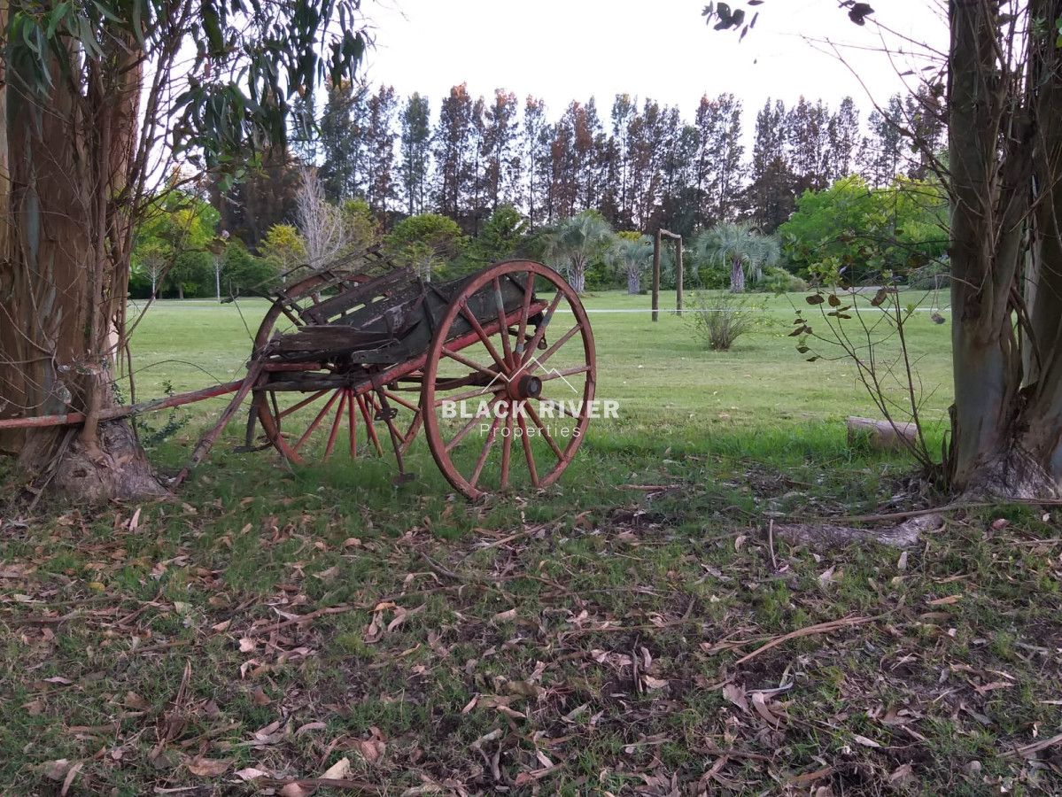 Chacra ID.62544 - venta de chacra 4 dormitorios en Punta Ballena