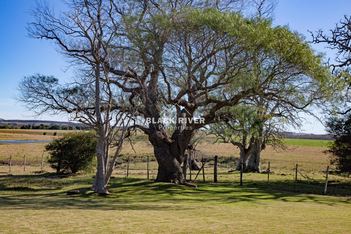 Chacra ID.62713 - Venta chacra de 2 dormitorios con arroyo Jose Ignacio 