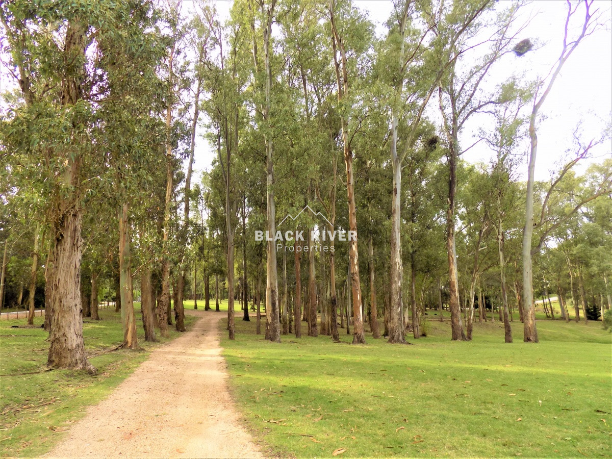 Chacra ID.28 - venta de chacra Marítimo de 4 dormitorios punta ballena maldonado