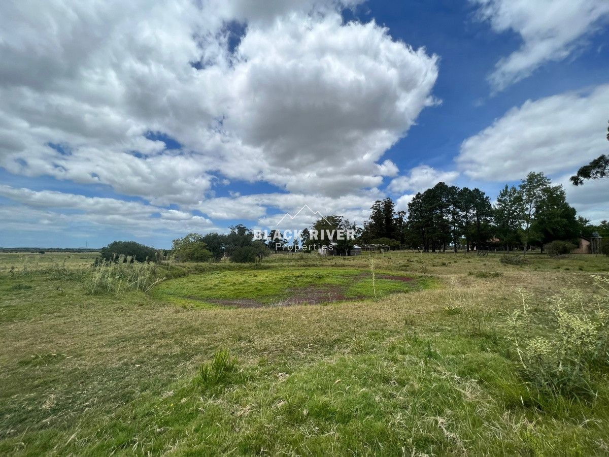 Chacra ID.109 - Chacra con costa sobre arroyo Maldonado en venta