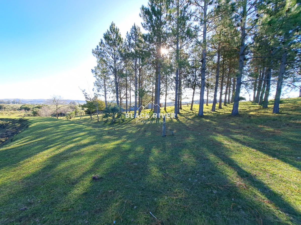 Chacra ID.66303 - Venta de Chacra en Pueblo Edén 3 dormitorios 2 baños. 