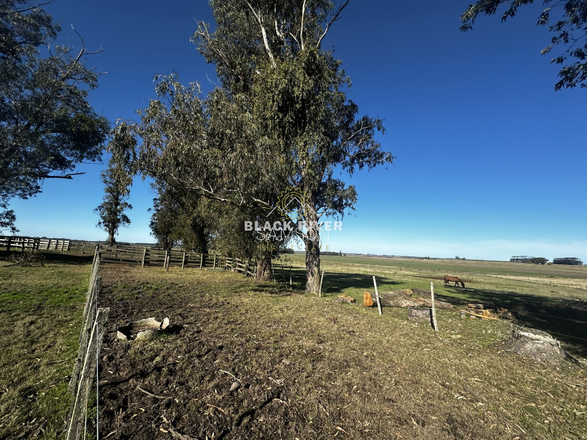 Chacra ID.66961 - Chacra de 3o hectáreas en venta Ruta 9 Garzon