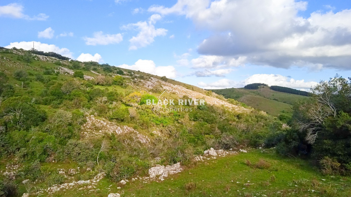Chacra ID.63931 - Oportunidad Venta de chacras en Ruta 12