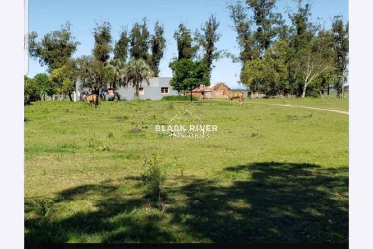 Chacra ID.66961 - Chacra de 3o hectáreas en venta Ruta 9 Garzon