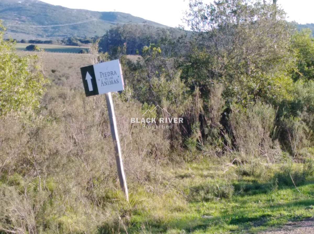 Chacra ID.65162 - Chacras en las Ánimas