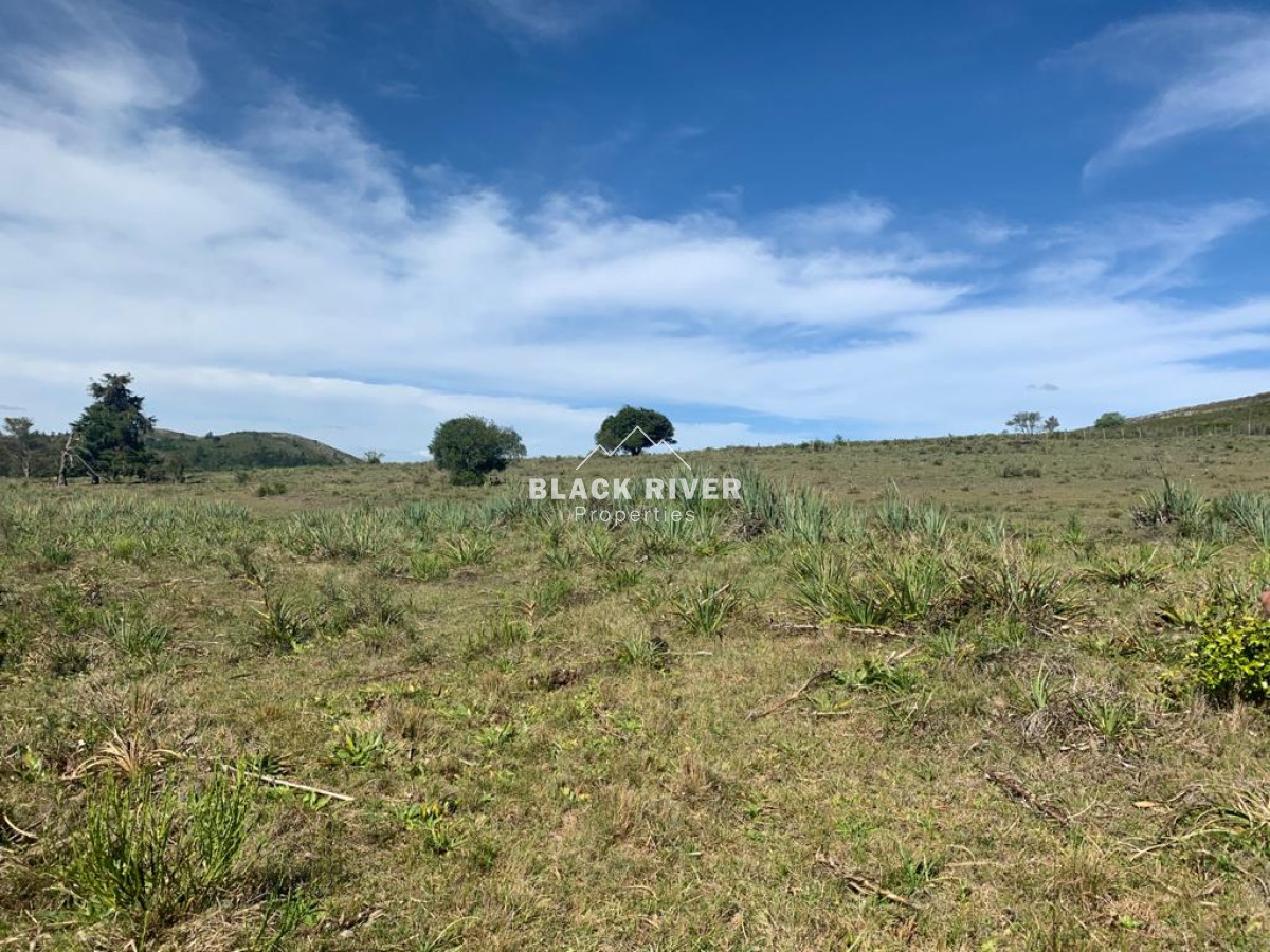 Chacra ID.63911 - VENTA CHACRA DE 5 HECTÁREAS 