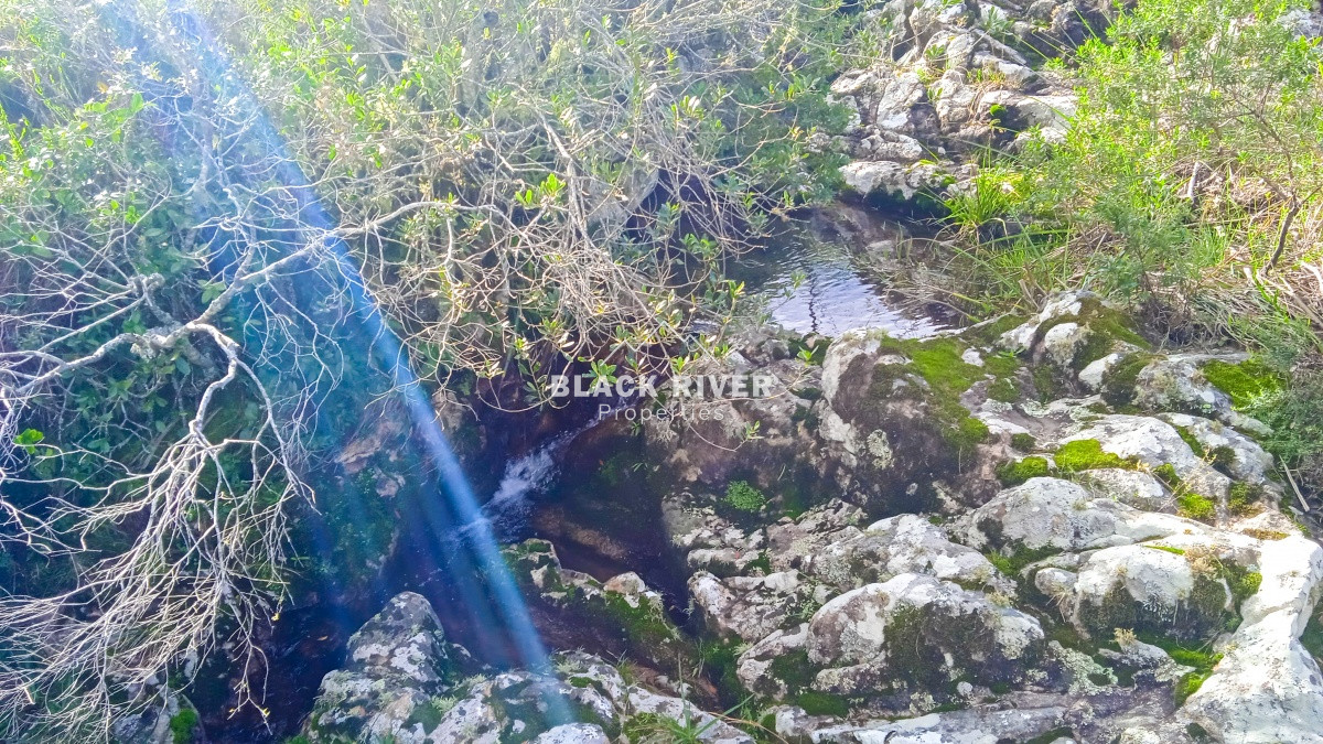 Chacra ID.63931 - Oportunidad Venta de chacras en Ruta 12
