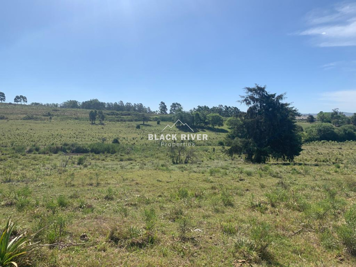Chacra ID.63911 - VENTA CHACRA DE 5 HECTÁREAS 