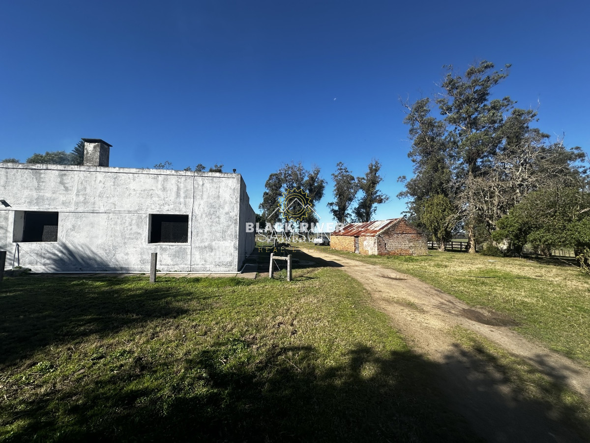Chacra ID.66961 - Chacra de 3o hectáreas en venta Ruta 9 Garzon